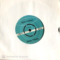 Ajda Pekkan - Sensiz Yıllarda 45lik