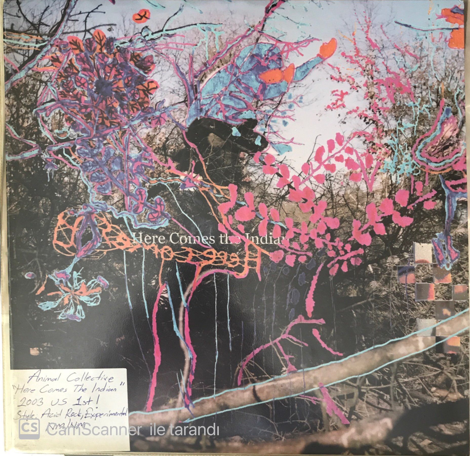 Animal Collective - Here Comes The Indian LP