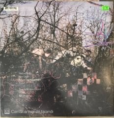 Animal Collective - Here Comes The Indian LP