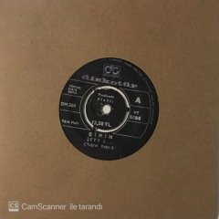 Şirin Şeyy ! 45lik