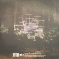 Tori Amos – Native Invader Double LP