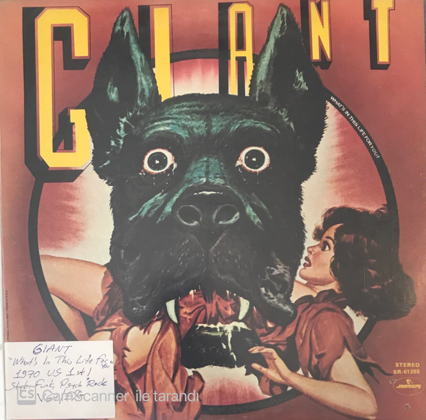 Giant - What's In This Life For You? LP