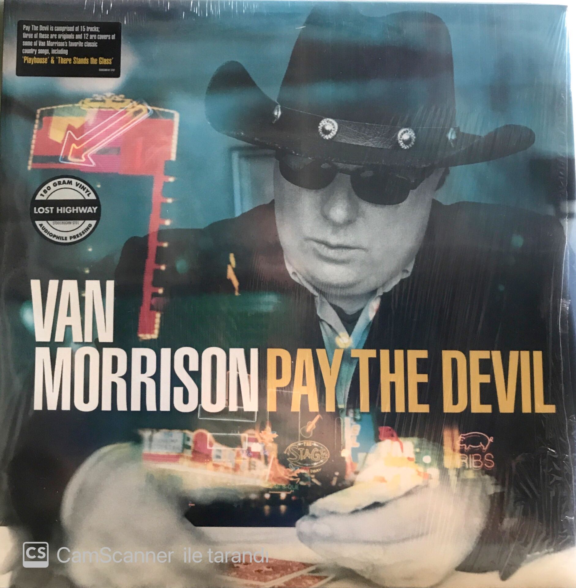Van Morrison - Pay the Devil LP