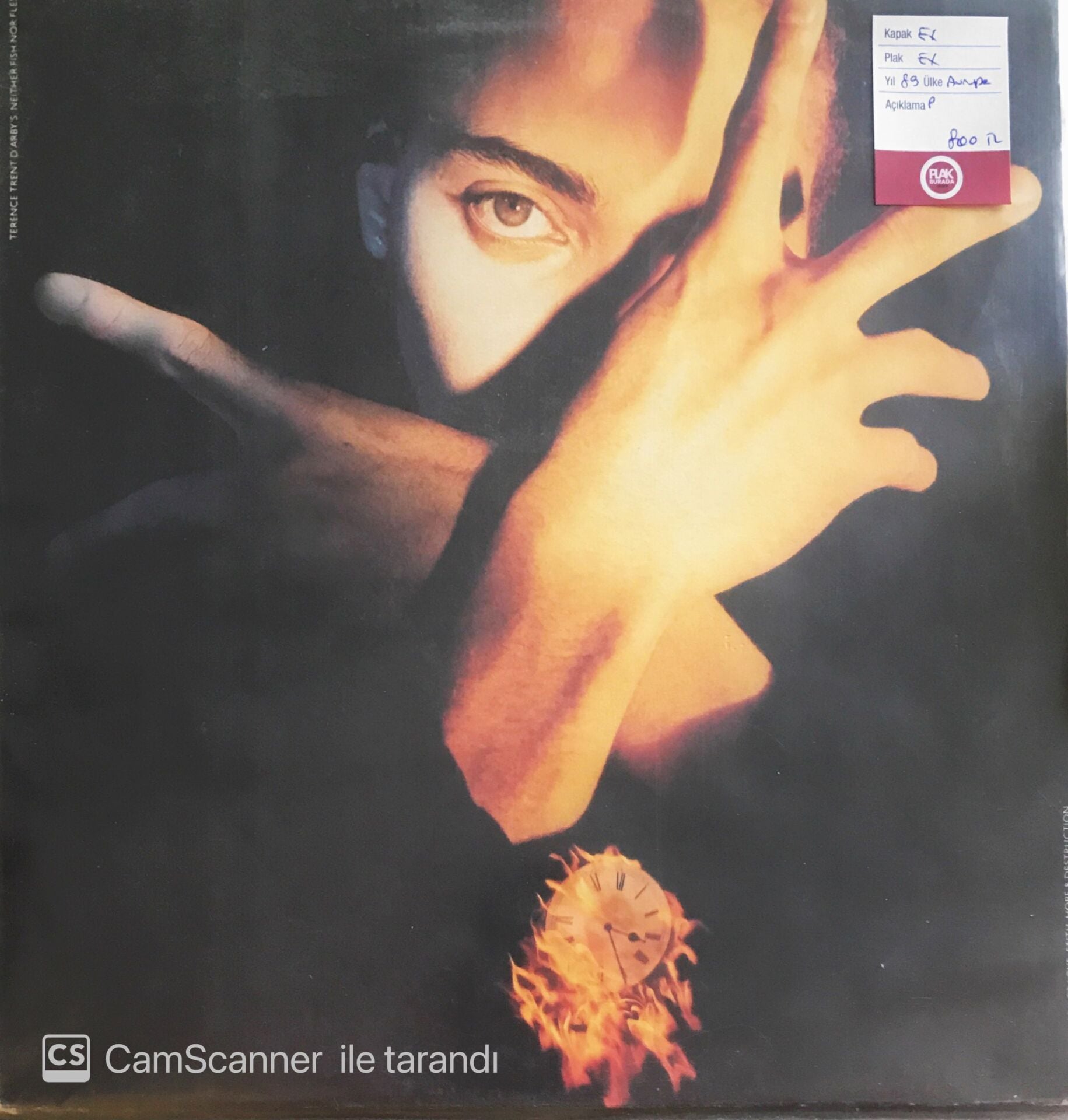 Terence Trent D'arby's Neither Fish Nor Flesh - LP