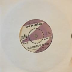 Erol Büyükburç Kızılcıklar Oldu mu 45 lik