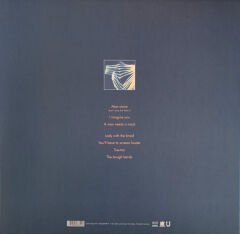 Tindersticks / Distrections LP