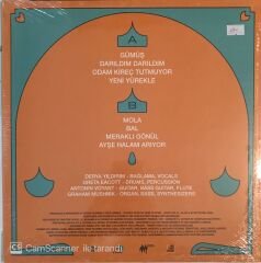 Derya Yıldırım & Grup Şimşek Dost 2 LP