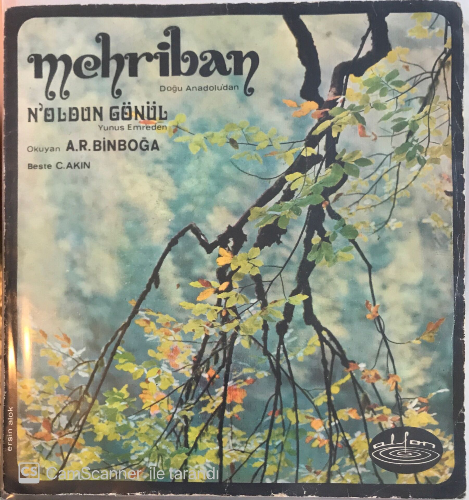 Ali Rıza Binboğa - Mehriban 45ilk