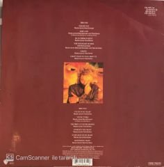 The Best Of Rod Stewart LP