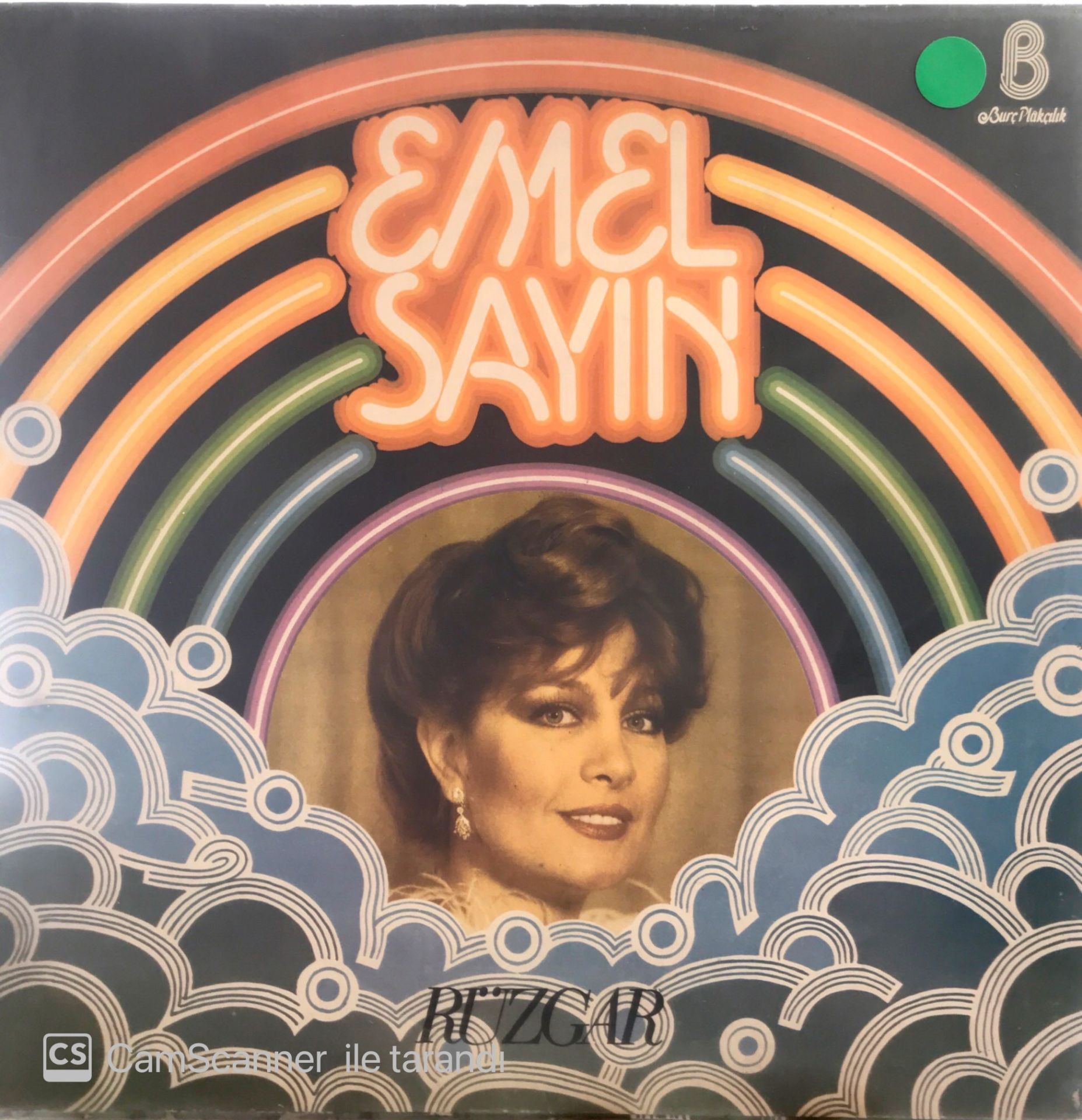 Emel Sayın - Rüzgar LP