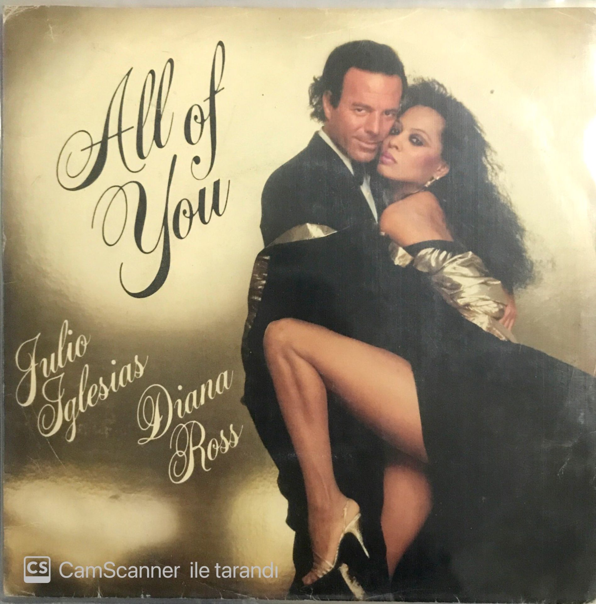Julio Iglesias & Diana Ross - All Of You 45lik