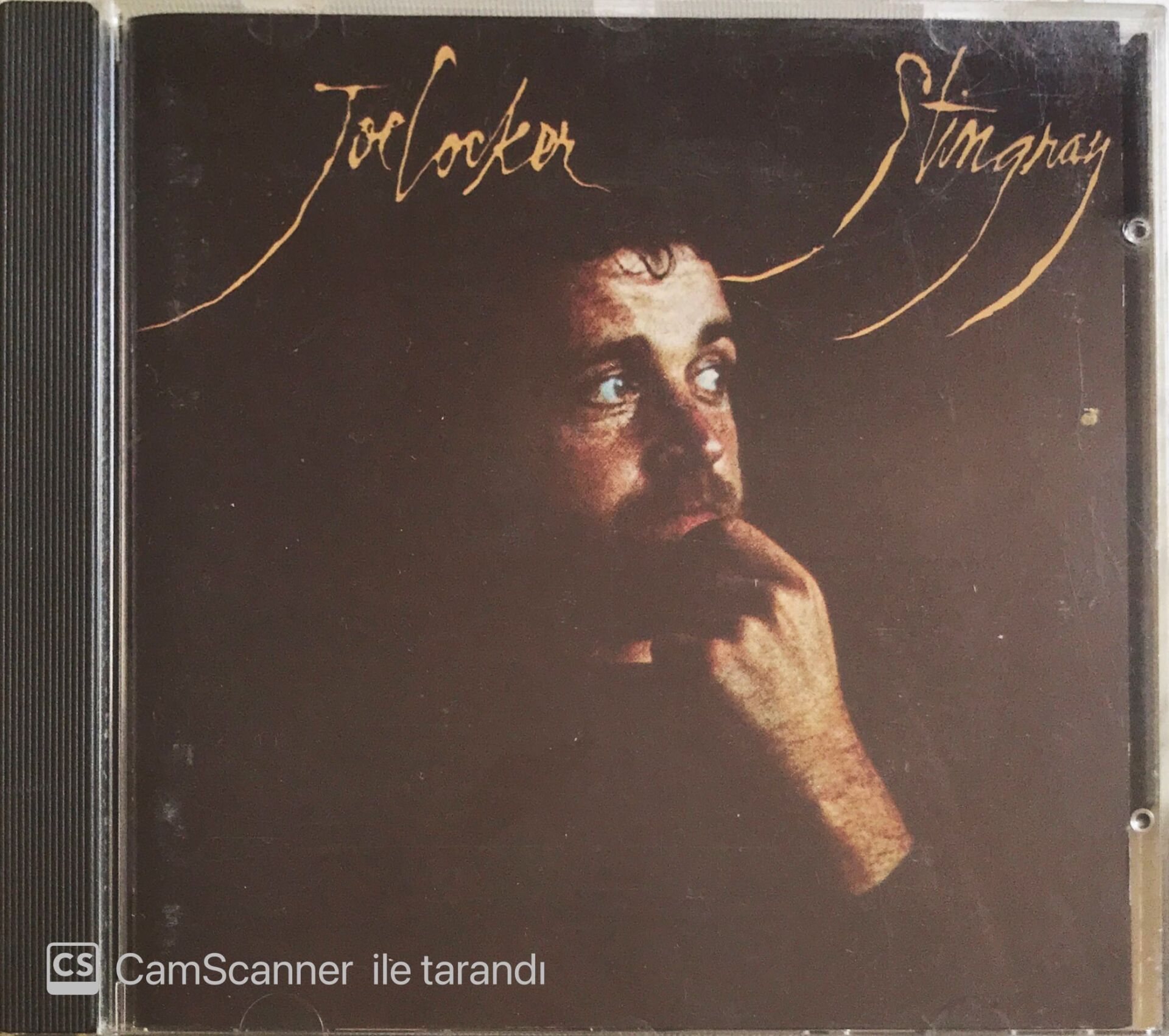 Joe Cocker - Stingray - CD
