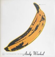 The Velvet Underground & Nico - Andy Warhol - LP