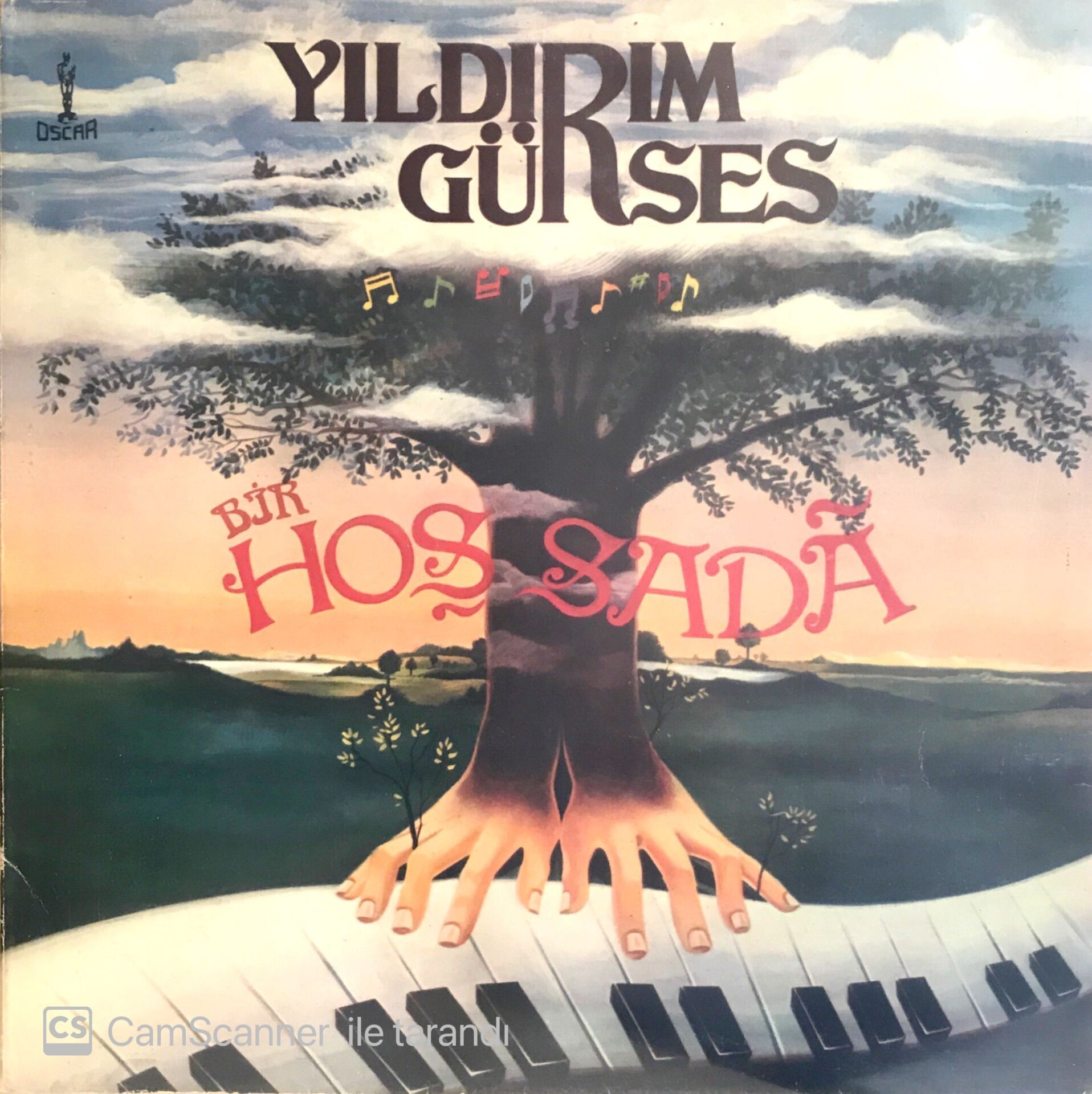 Yıldırım Gürses - Bir Hoş Sada LP