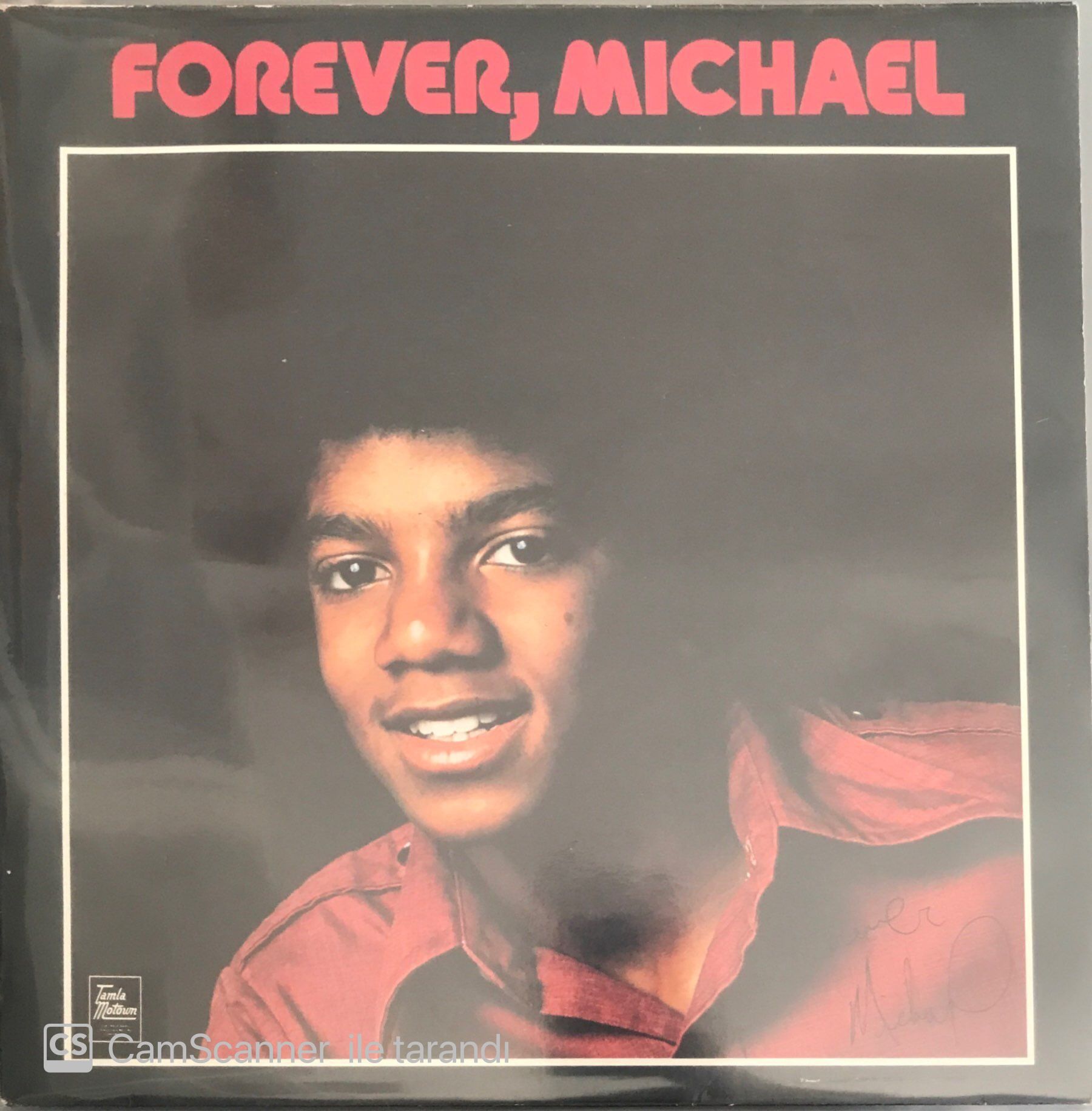 Michael Jackson Forever Michael LP