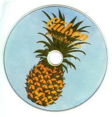 Gülşen - Bangır Bangır LP