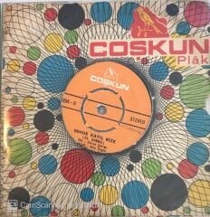 Ayla Algan - Dünya Tersine Dönse 45lik