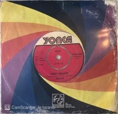 Hülya-  Dört Mevsim 45 lik