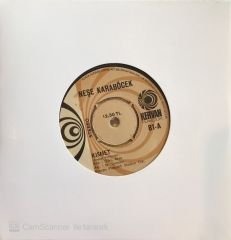 Neşe Karaböcek Kısmet 45lik