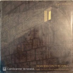 Mike Oldfield Shadow On The Wall 45lik