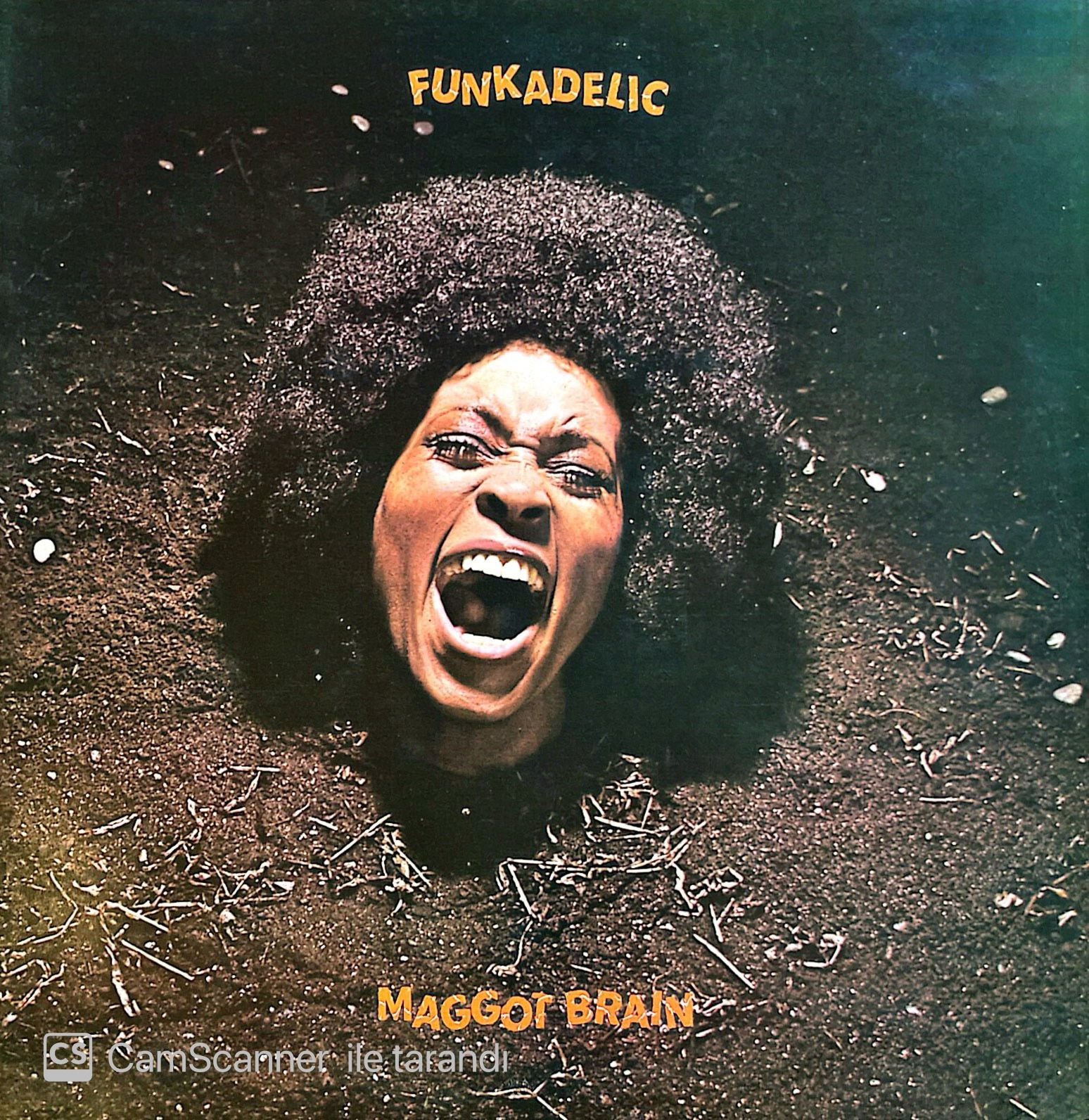 Maggot Brain - Funkadelic LP