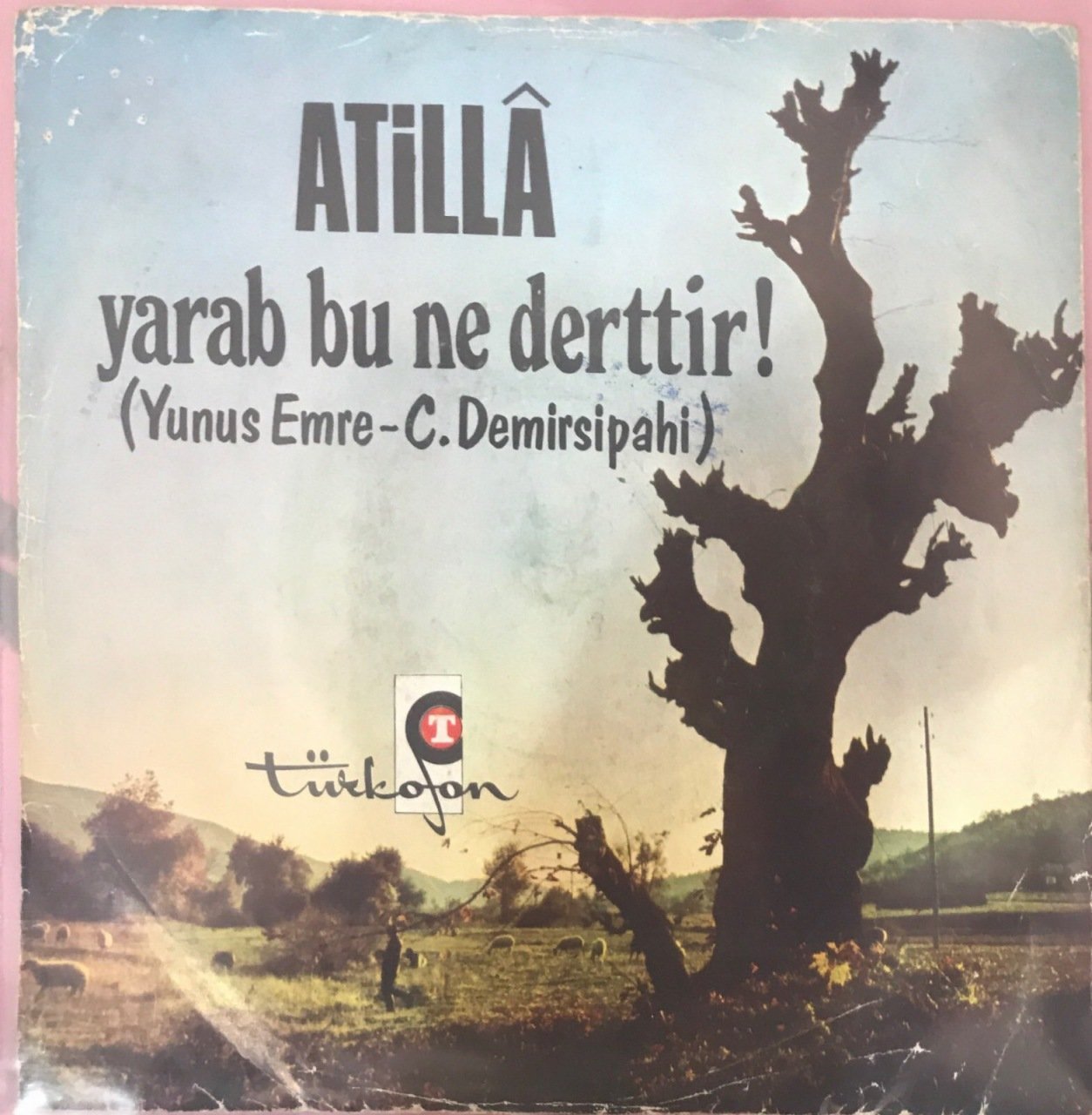 Atilla Ya Rab Bu Ne Derttir 45lik