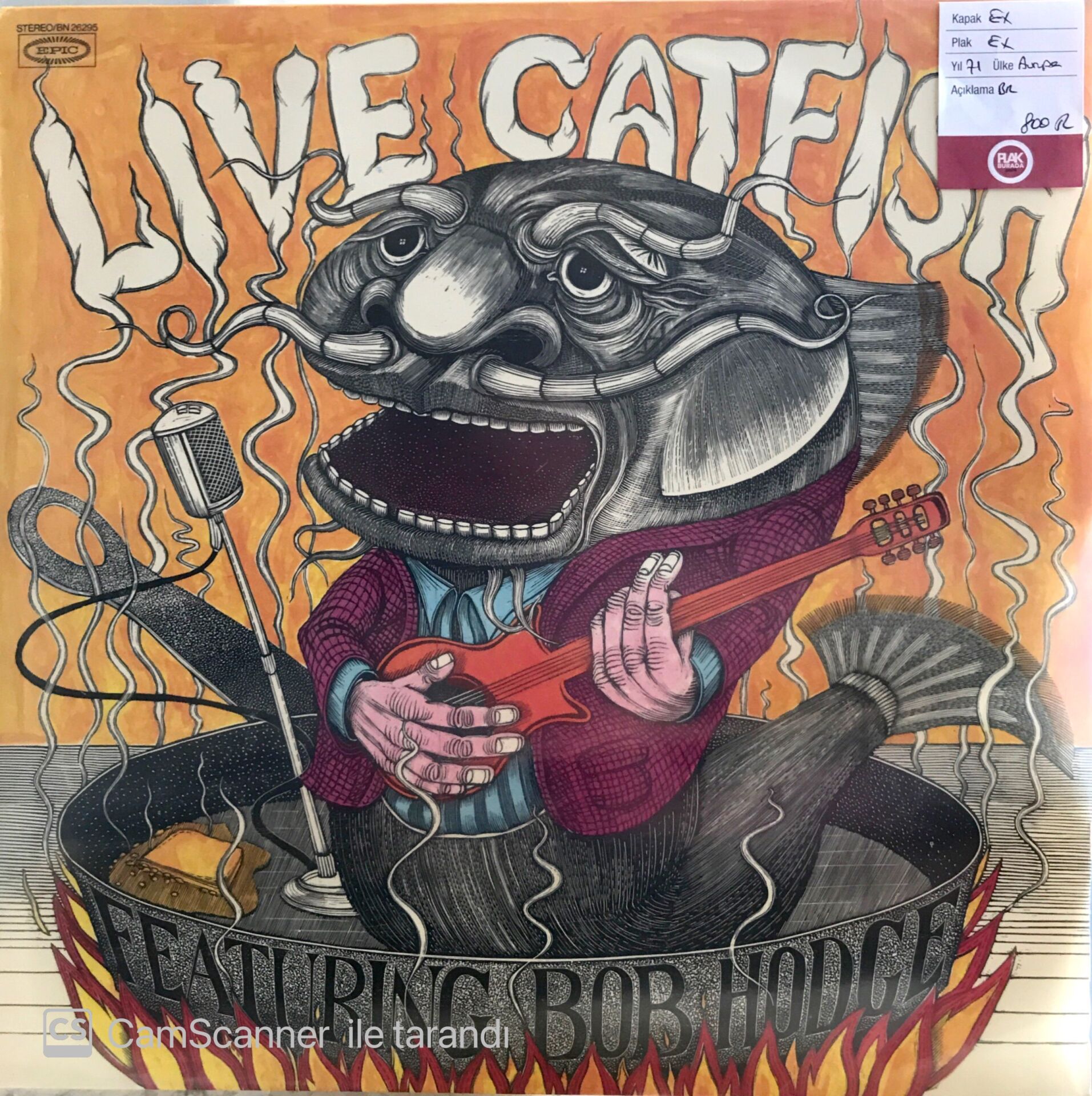 Live Catfish featuring Bob Hodge LP