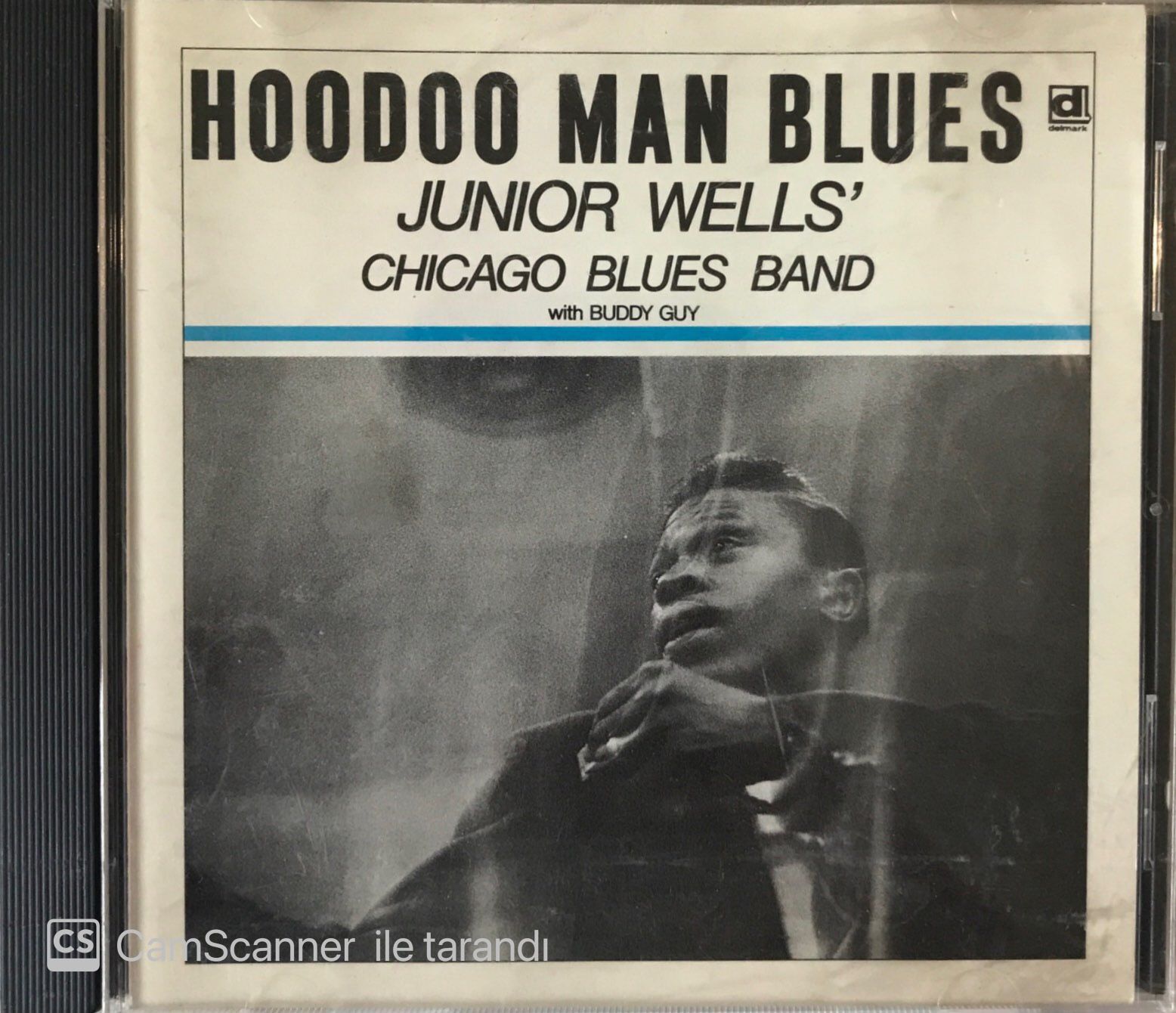Hoodo Man Blues - Junıer Wells CD