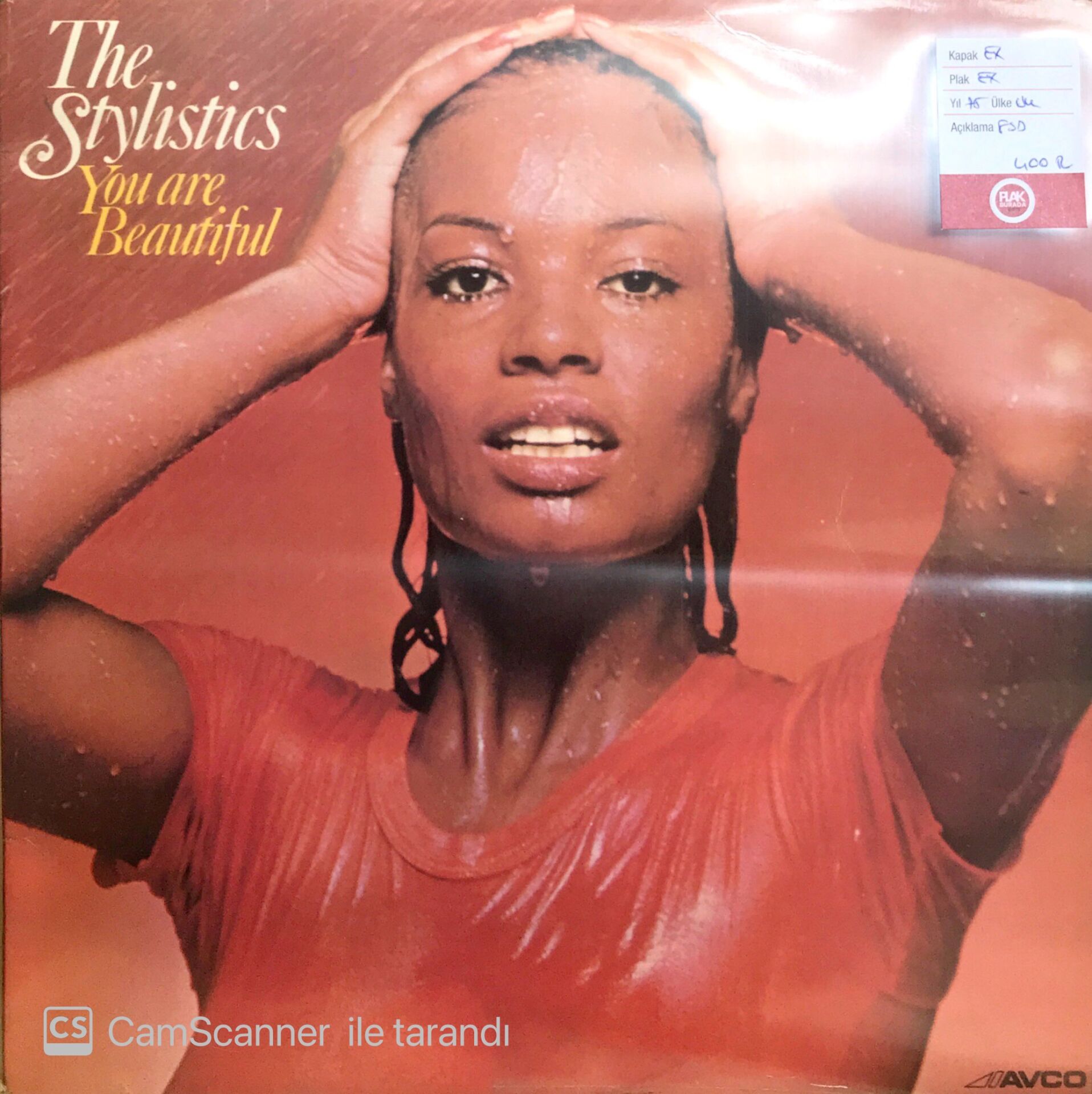 The Stylistics / You Are Beautiful LP