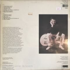 Adrian Legg - Guitars And Other Cathedrals LP