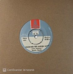 Nesrin Sipahi Avuçlarımda Hala Sıcaklığın Var 45lik