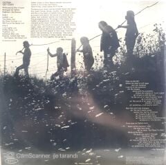 Catfish - Get Down LP