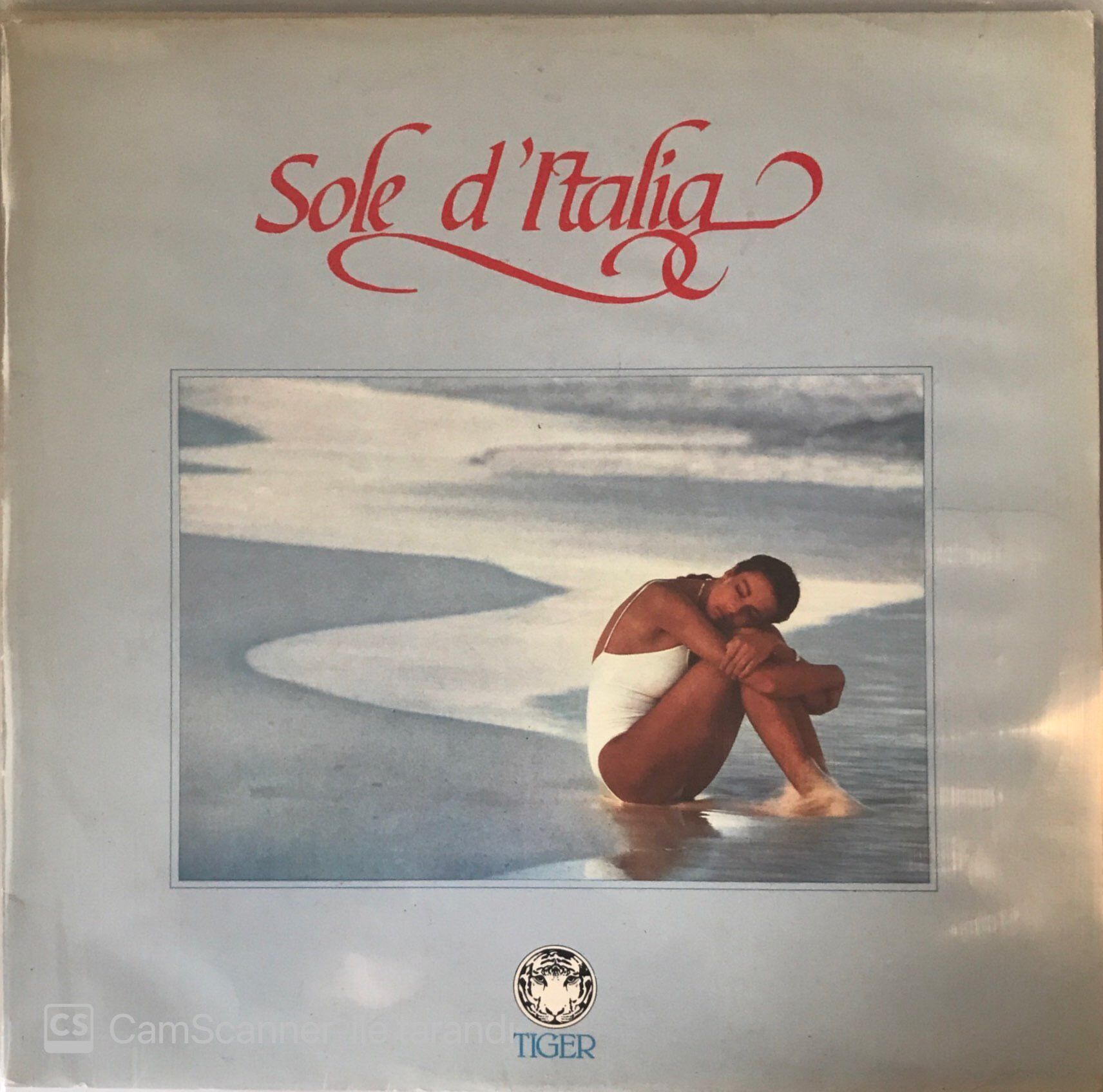 Çeşitli - Sole D' Italıa LP