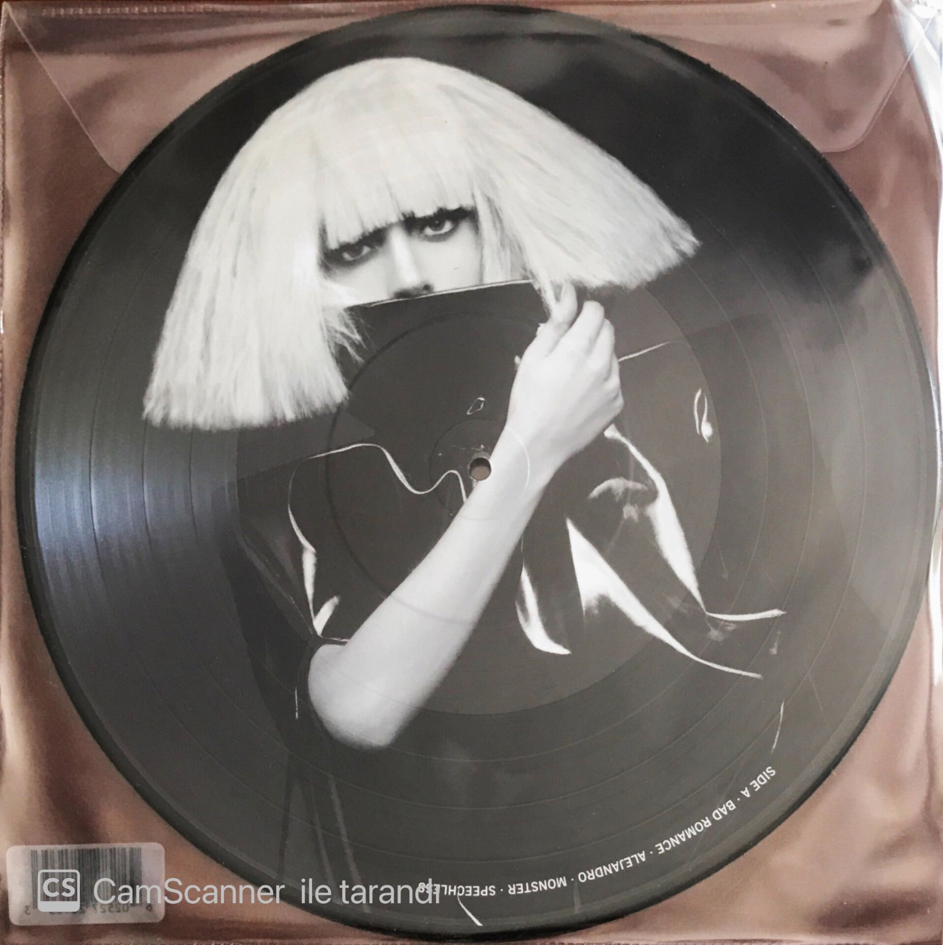 Lady Gaga - The Fame Monster - Picture Disc - LP