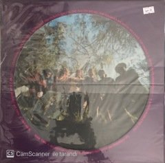 Greatful Dead Anthem Of The Sun LP