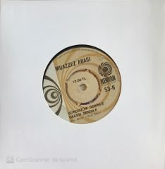 Muazzez Abacı Gündüzüm Seninle Gecem Seninle 45lik