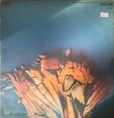 Eloy Ocean LP