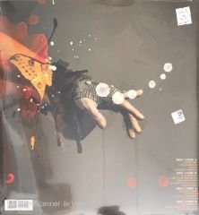 Evanescence Synthesis Double LP