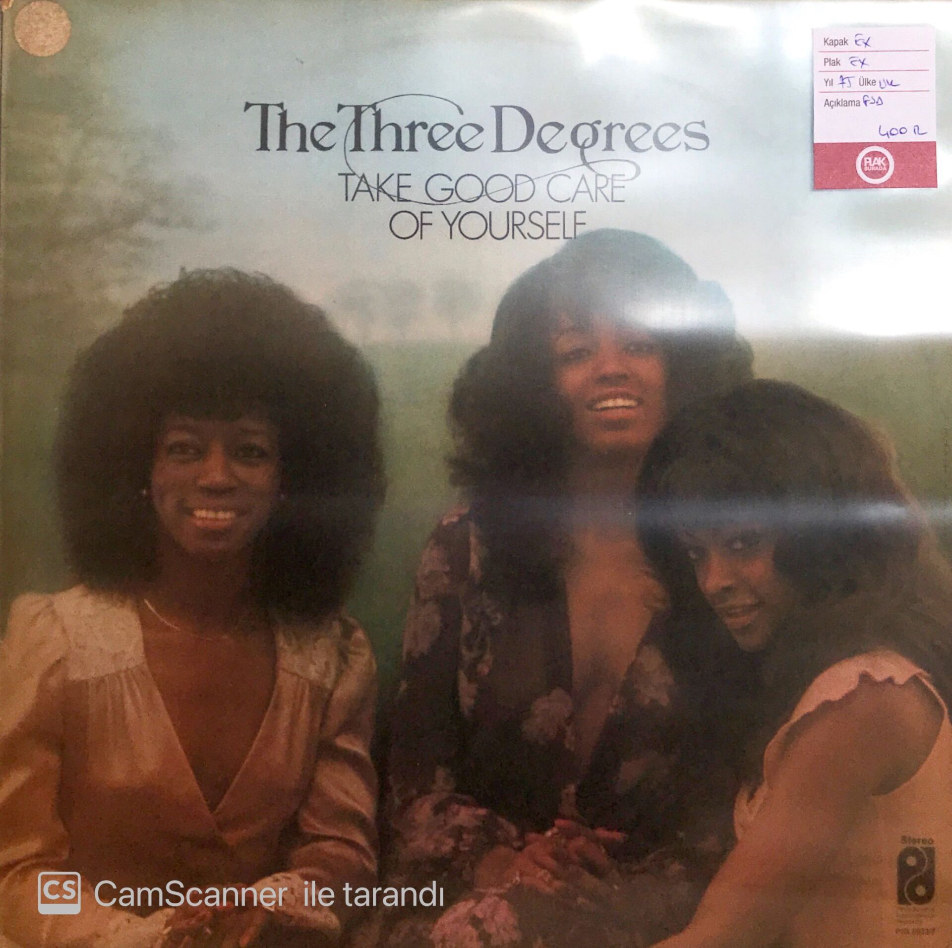 The Three Degrees / Take Good Care Of Yourself LP