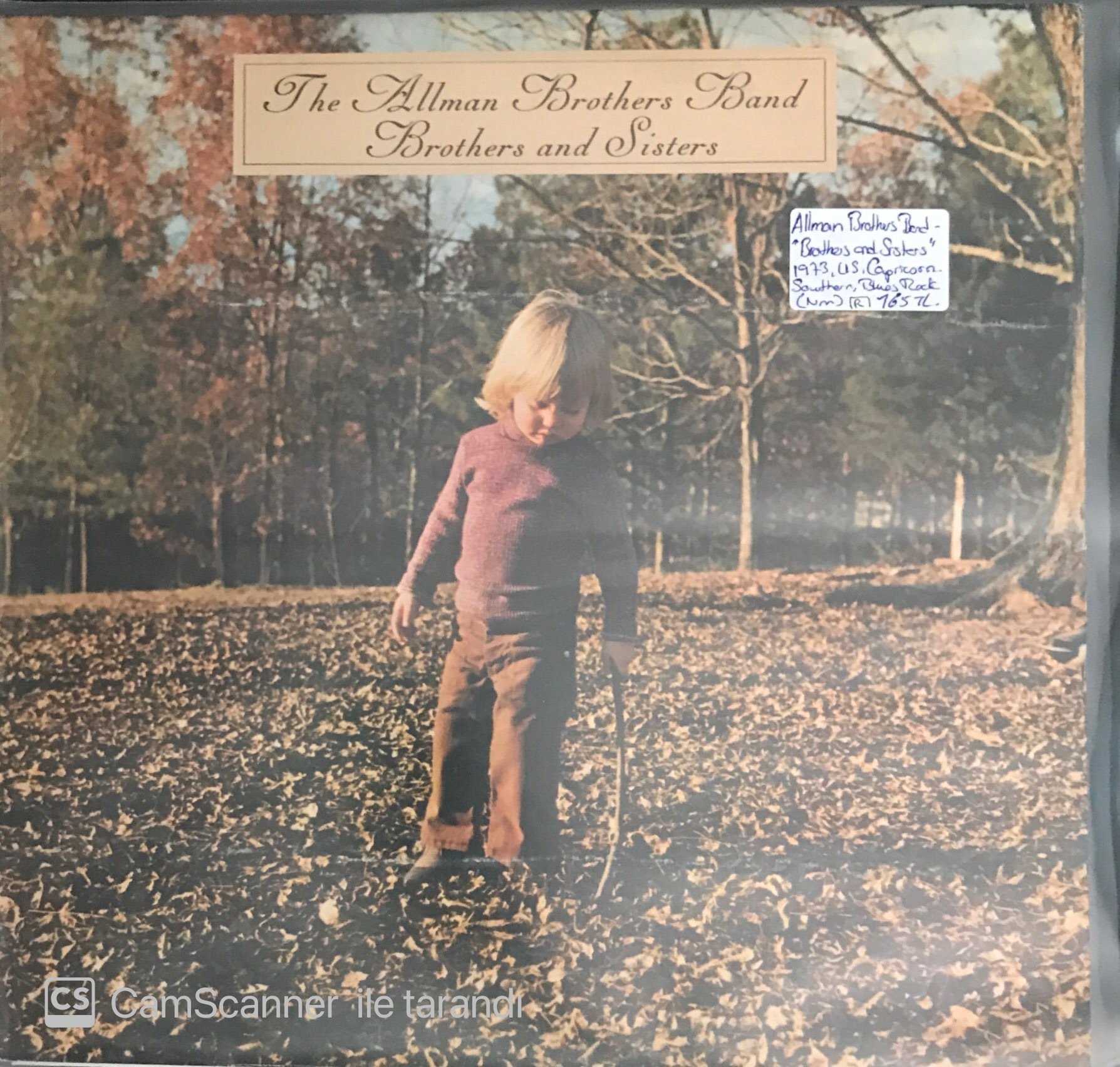 The Allman Brothers Band Brothers And Sisters LP