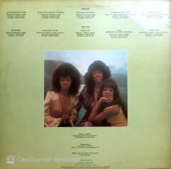 The Three Degrees / Take Good Care Of Yourself LP