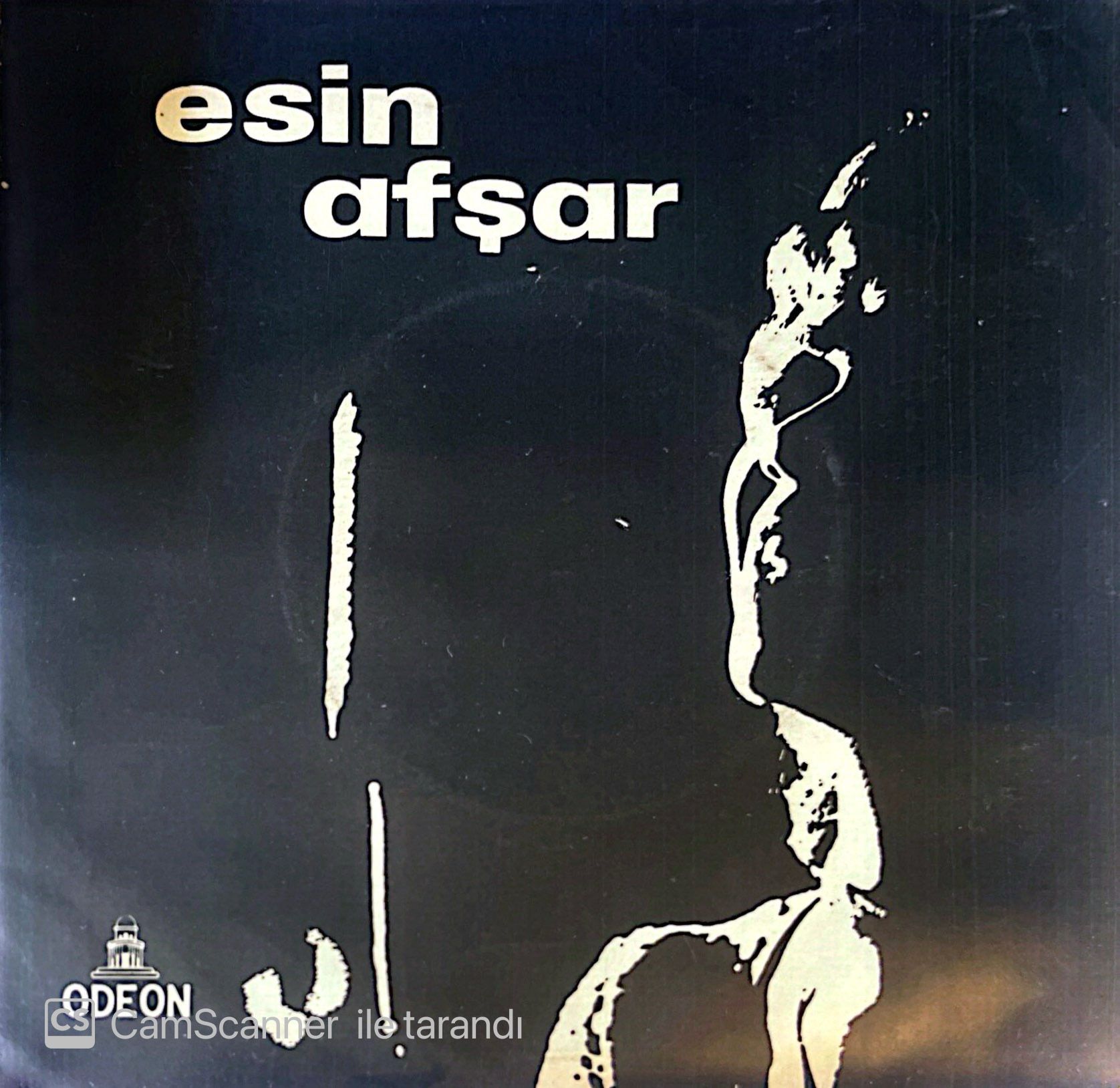Esin Afşar Gel Dosta Gidelim 45lik