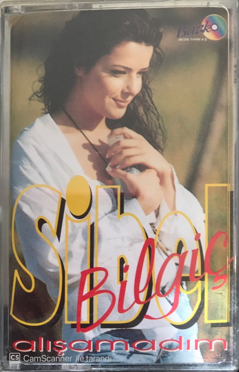 Sibel Bilgiç Alışamadım KASET