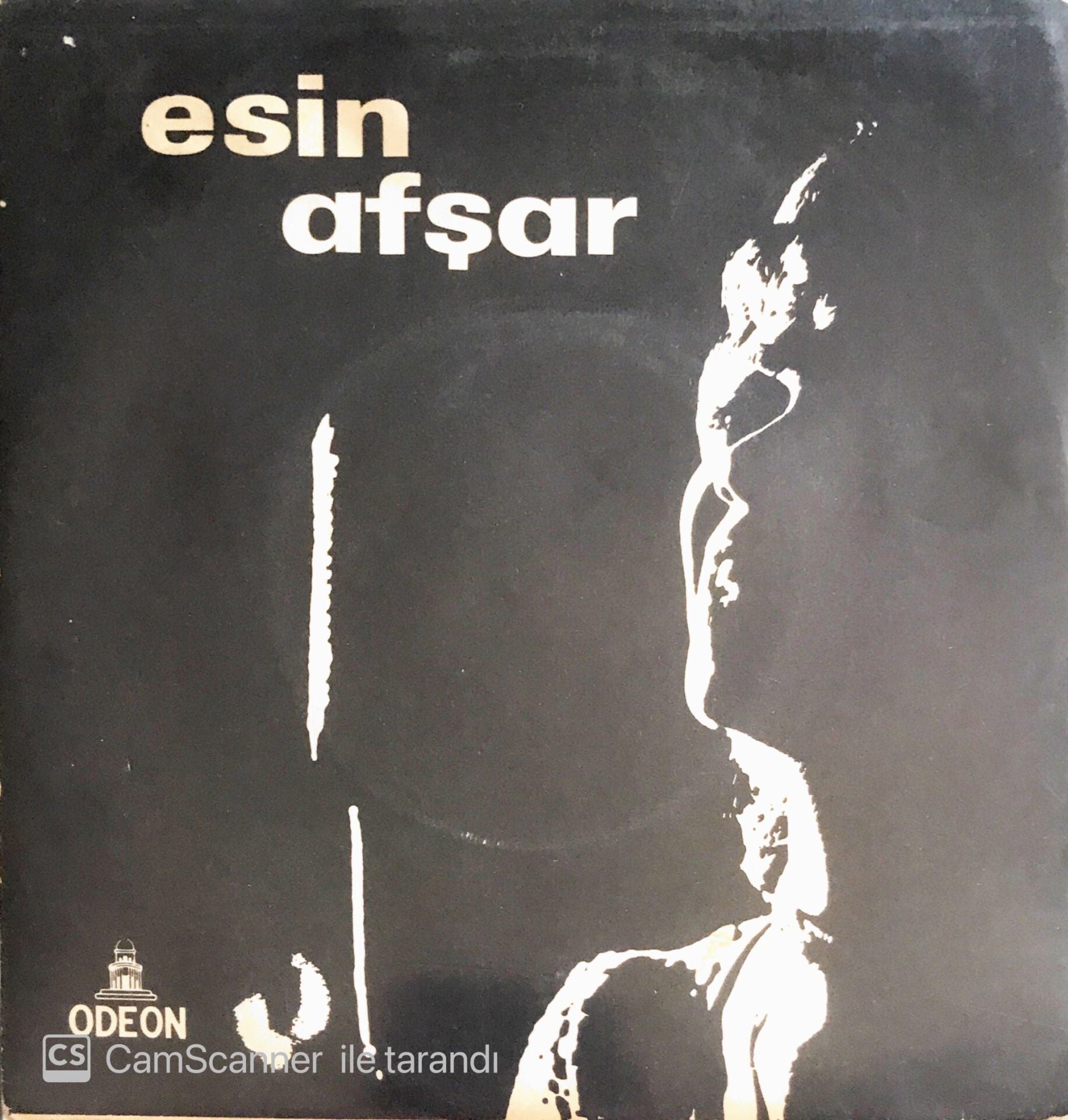Esin Afşar - Gel Dosta Gidelim/Sorma - 45'lik