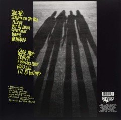 The Offspring LP