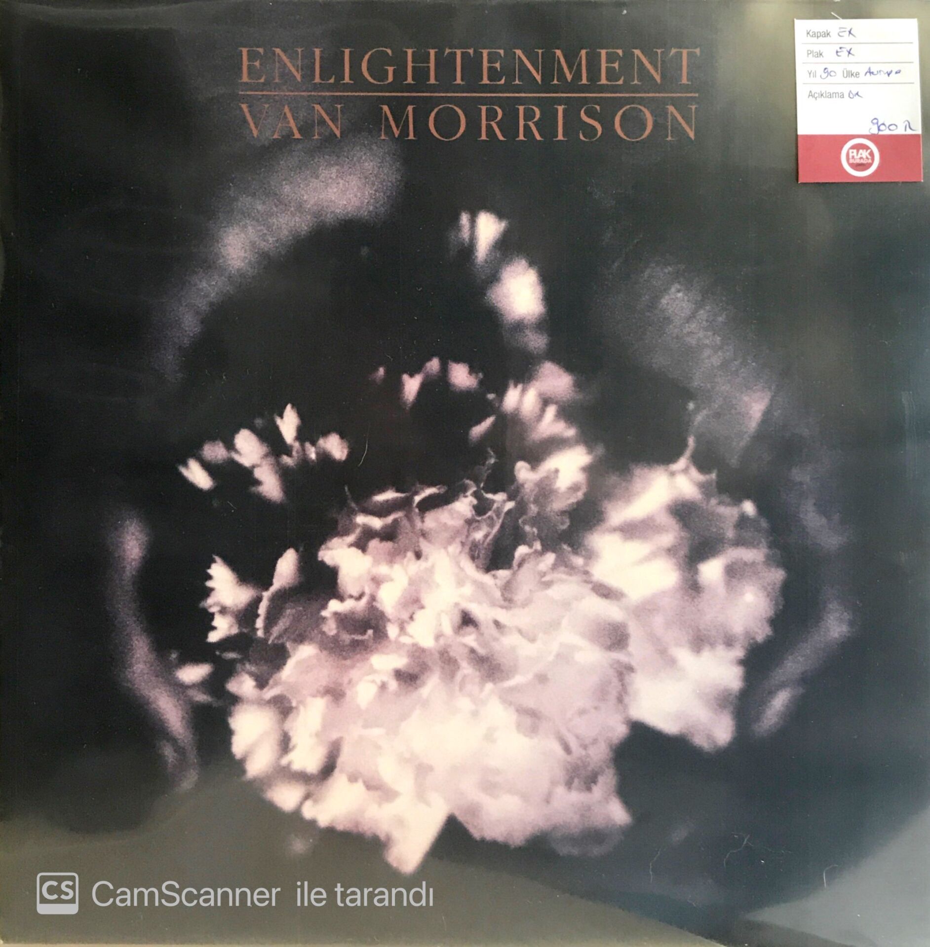 Van Morrison / Enlightenment LP