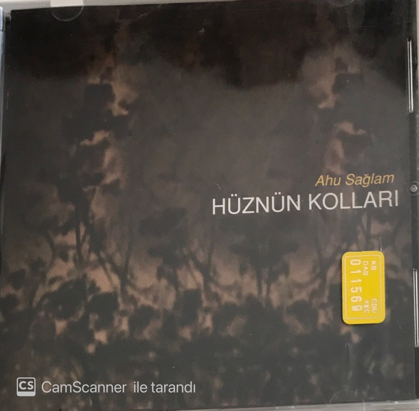 Ahu Sağlam Hüznün Kolları CD