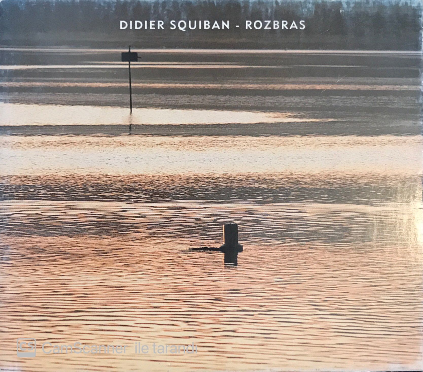 Didier Squiban - Rozbras CD