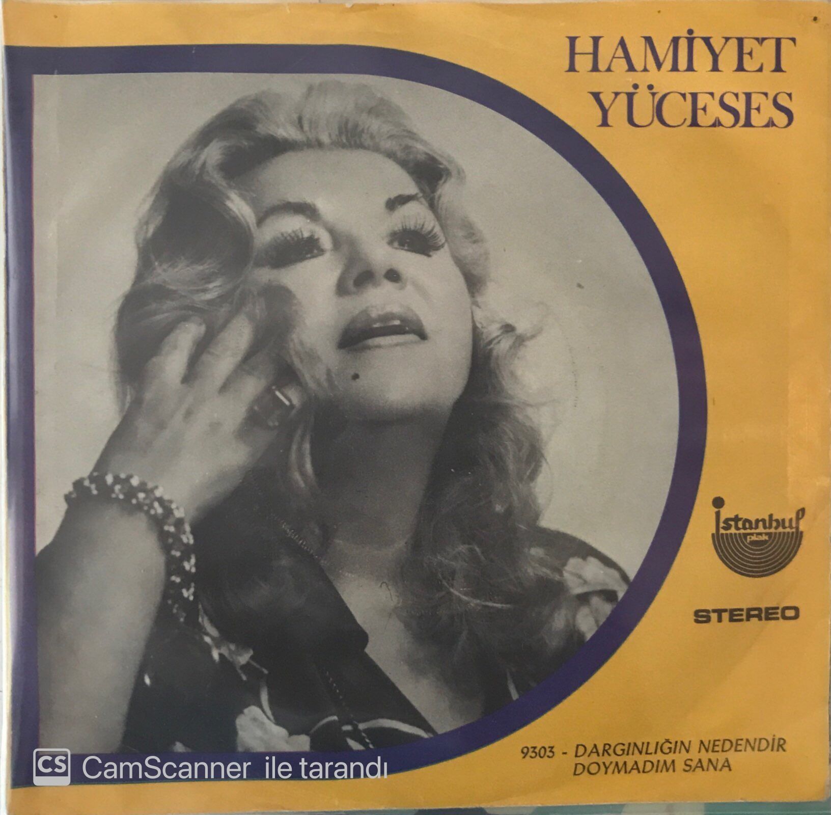 Hamiyet Yüceses Dargınlığın Nedendir 45lik