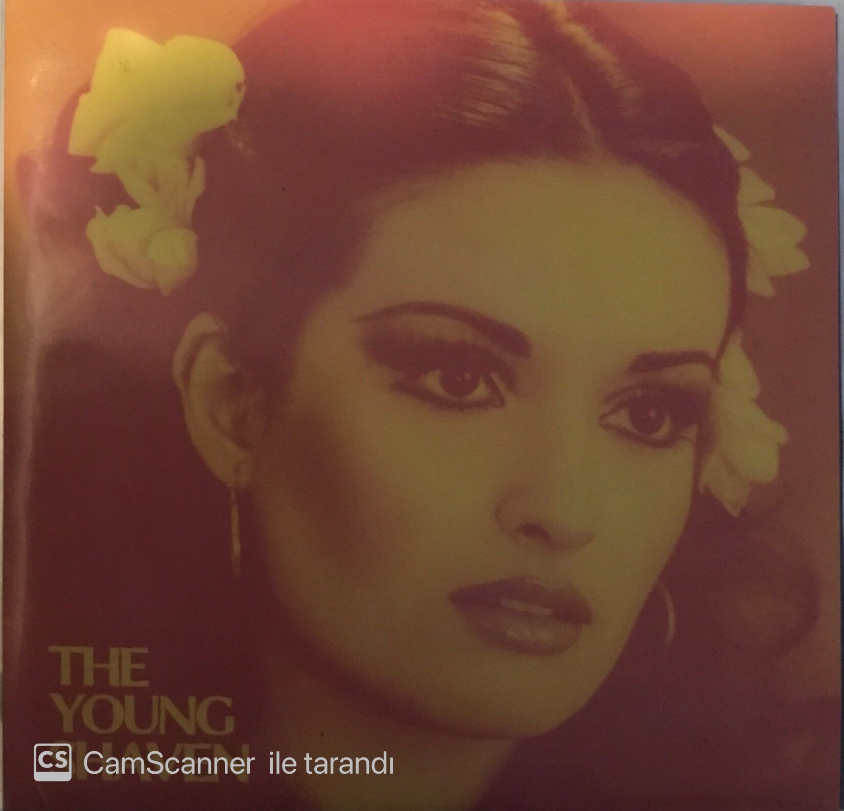 The Young Shaven Honey Babe 45lik